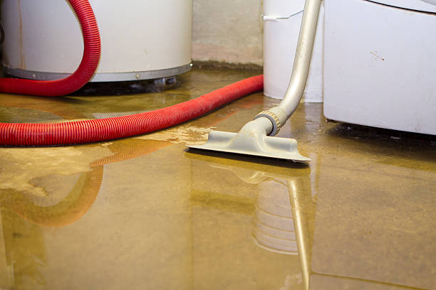 Best Flood Cleanup and Water Removal in USA